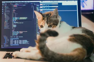 Image related to the strategic advantage: integrating low-code/no-code with custom software